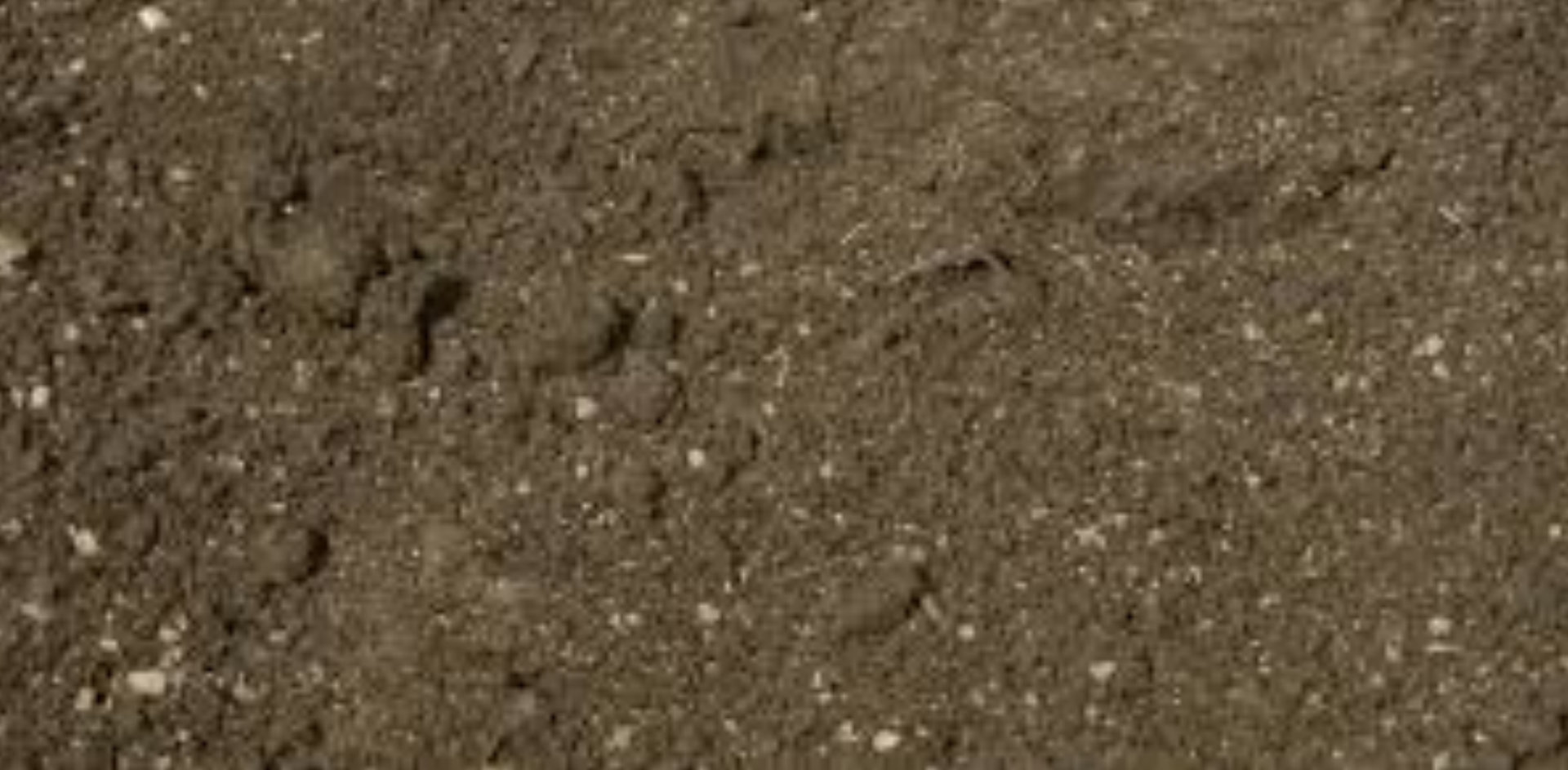 Recycled Topsoil Newcastle Grab Hire